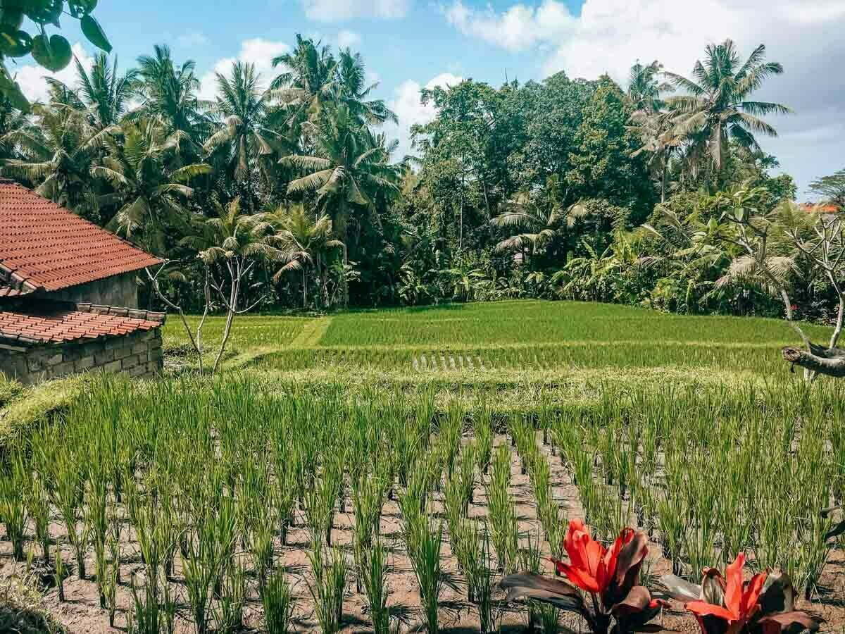 viaggiare cambia l'umore