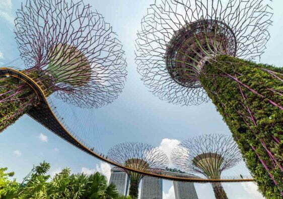 Cosa vedere a Singapore