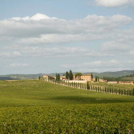 Mezza Maratona Ravenna: esperienza e consigli per runner