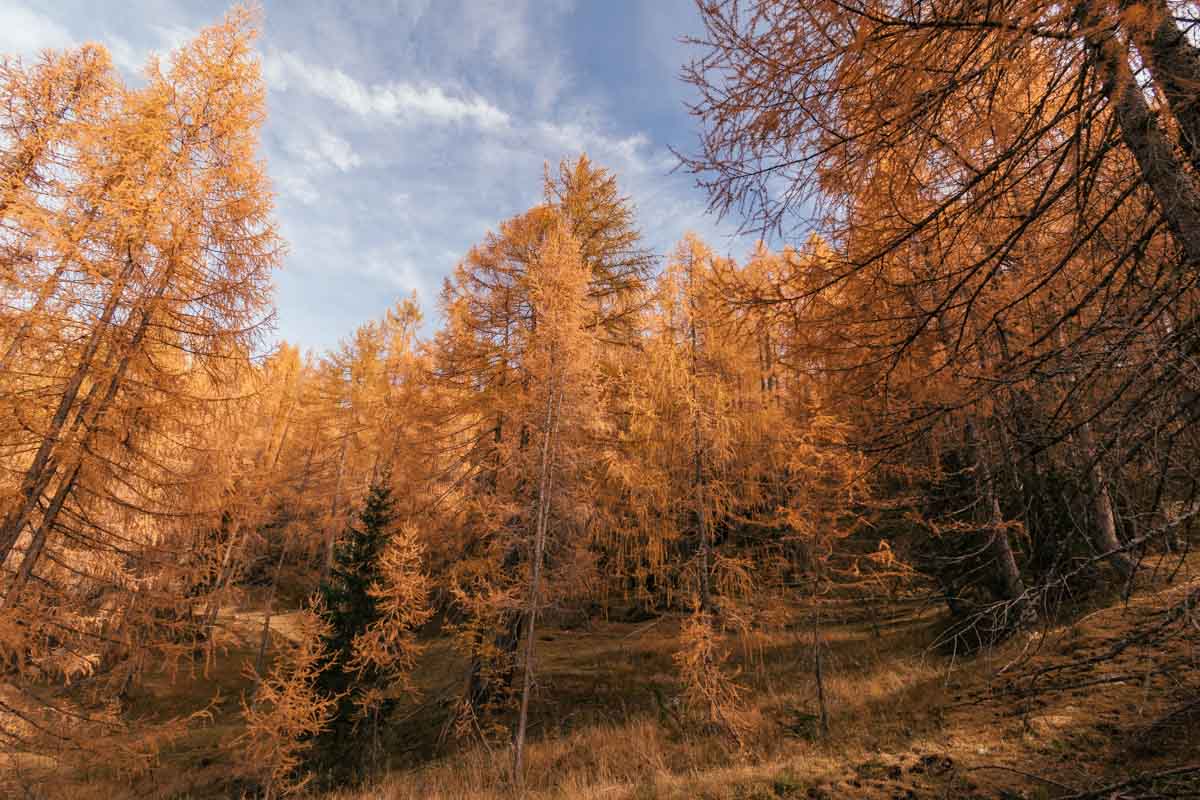 Passeggiata Alta Badia