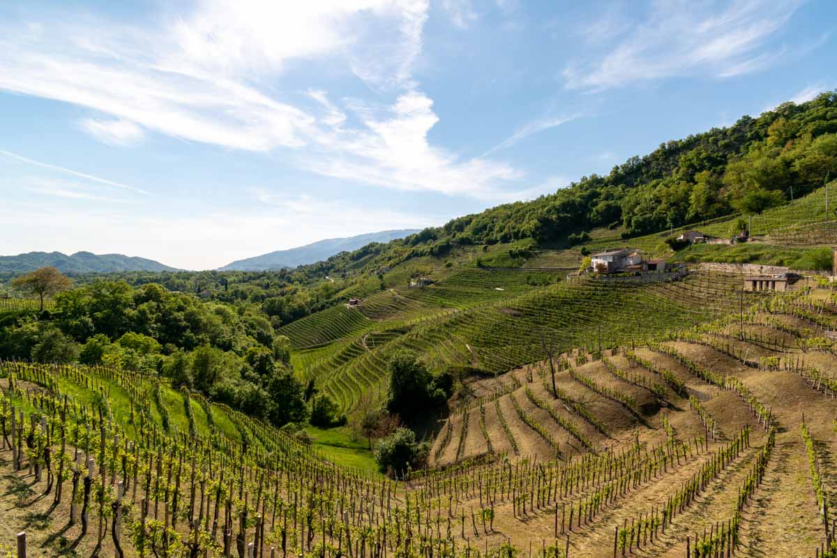 Colline del Prosecco