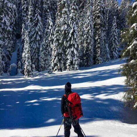 Guida per un viaggio a New York fai da te!