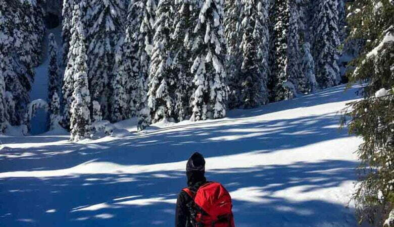 montagna in inverno