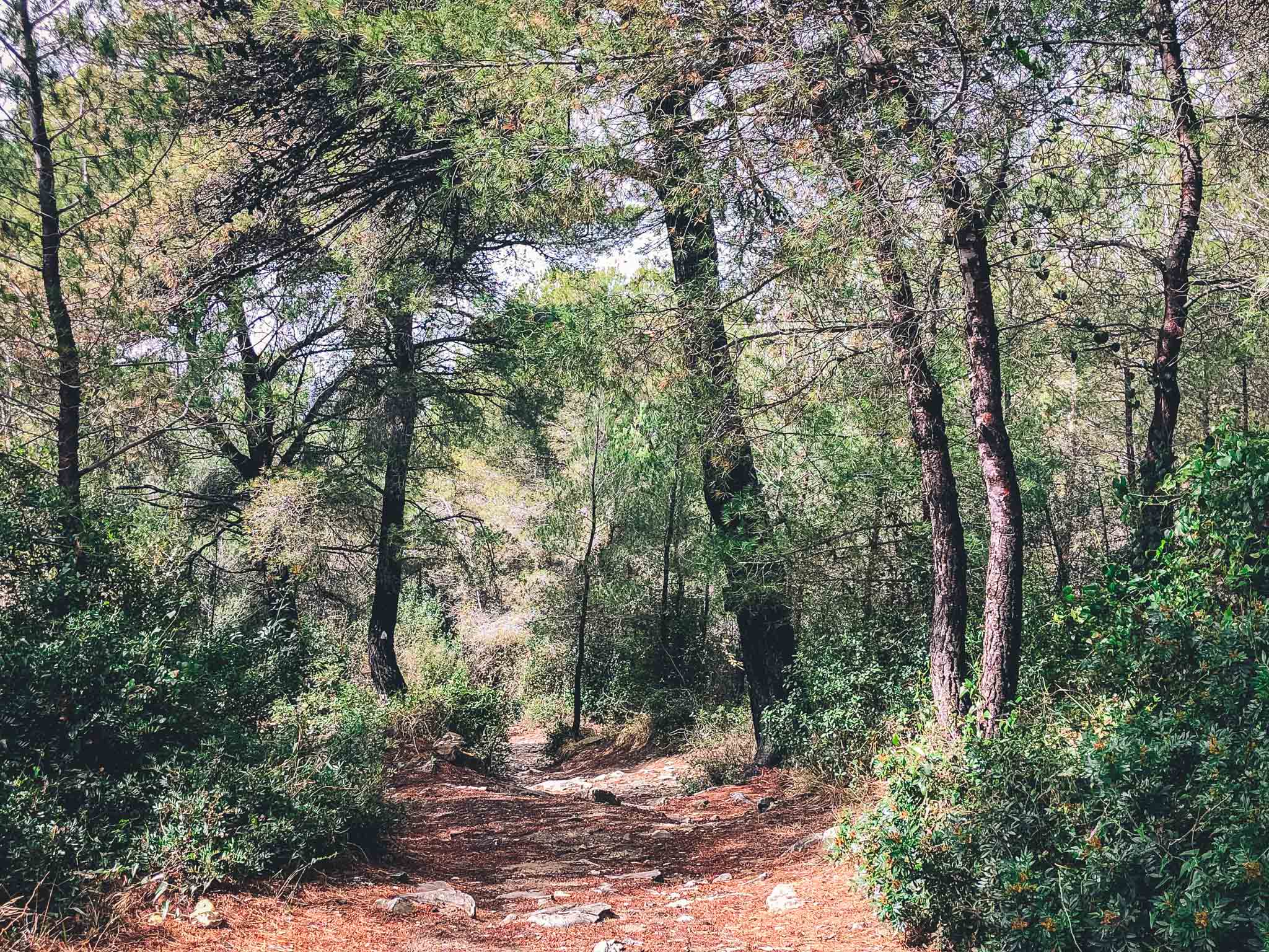 attività outdoor a Laigueglia