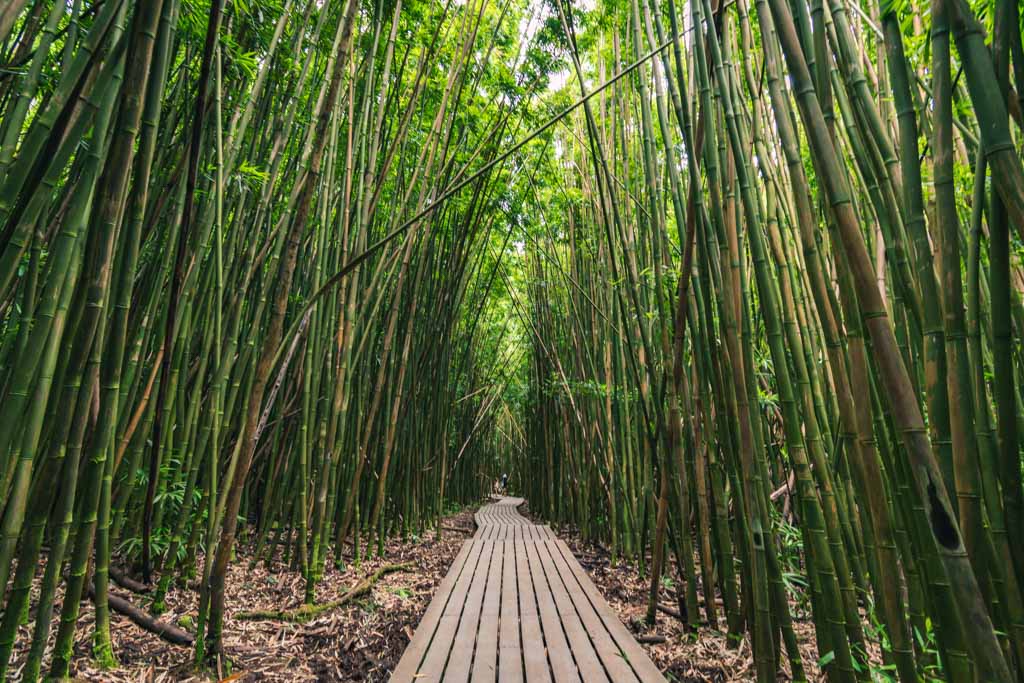 Trekking alle Hawaii