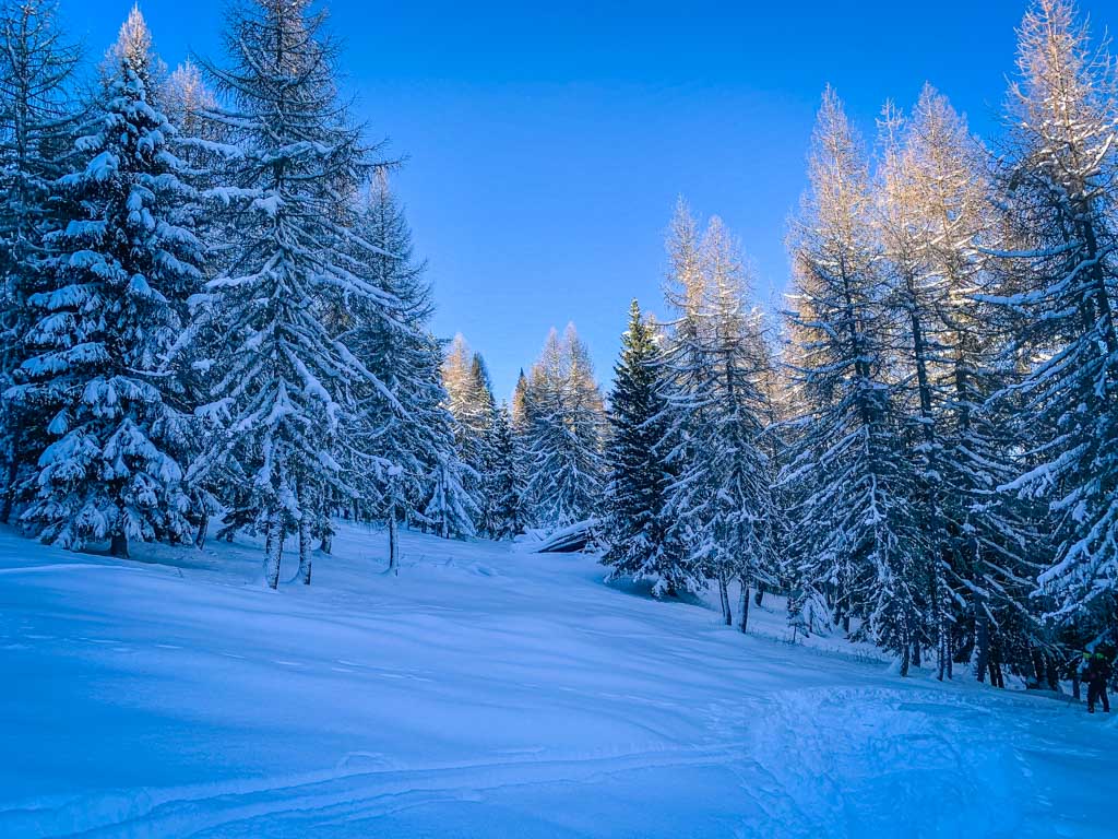 Boschi innevati Val Fiorentina