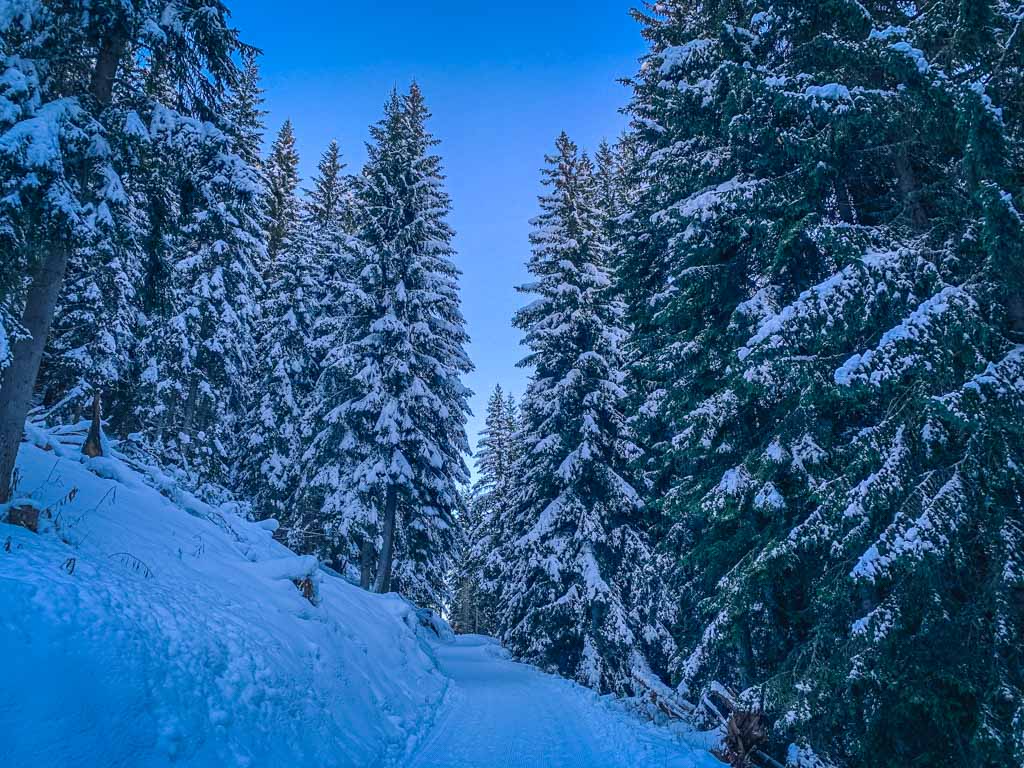 Cima Fertazza e Ristoro Belvedere