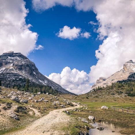 Bec de Roces: escursione ad anello da Passo Campolongo