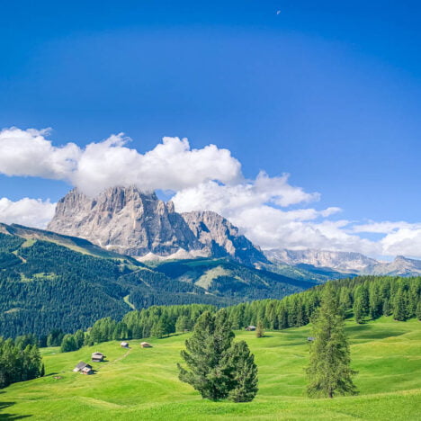 Cosa vedere ad Auckland in 2 giorni: tra skyline, rugby e mare