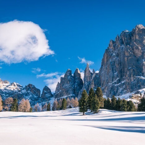 Rifugio Talamini da Zoppè di Cadore: facile passeggiata sulla neve