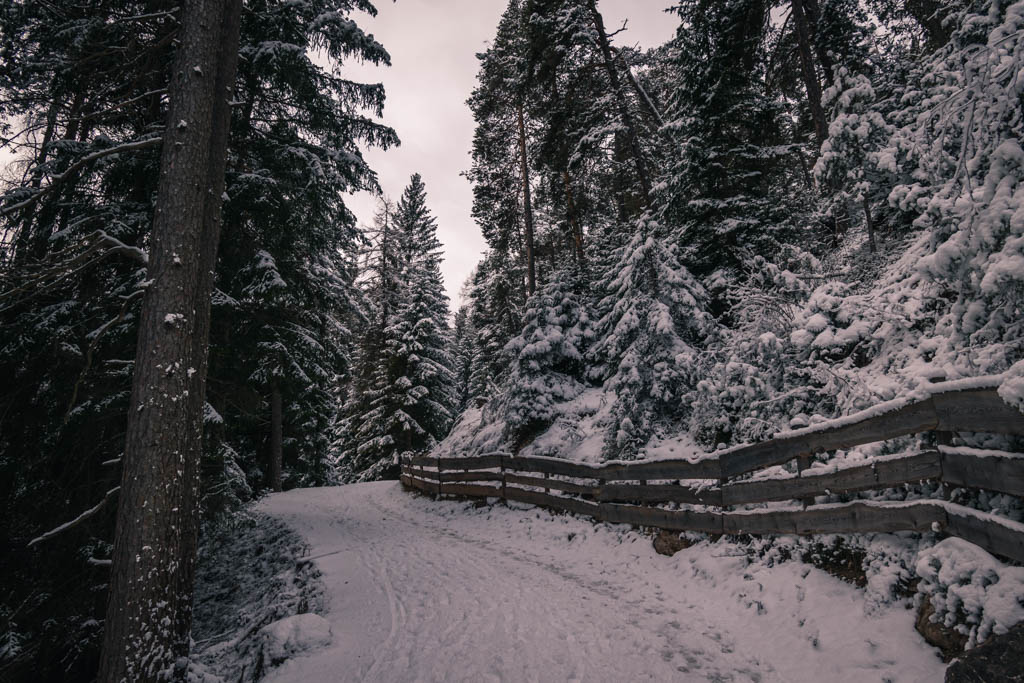 Forestale di partenza