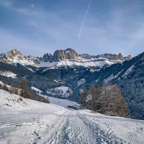 Rifugio Talamini da Zoppè di Cadore: facile passeggiata sulla neve