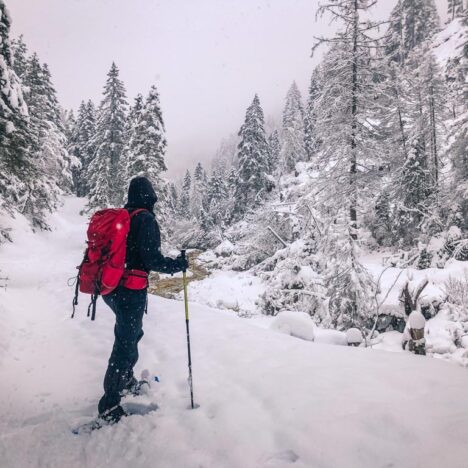 Passo Nigra: escursioni invernali tra Catinaccio e Latemar