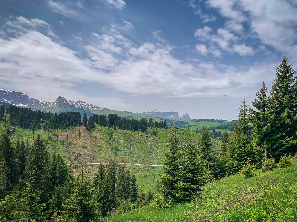 Vista sull'Alpe di Siusi
