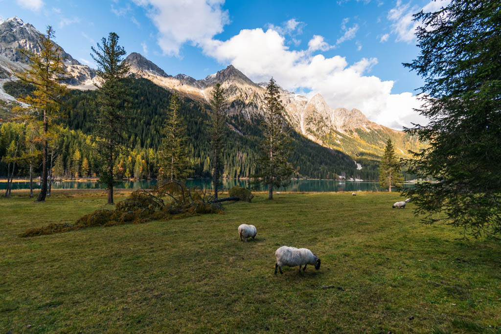 Valle di Anterselva
