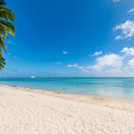 Crociera con cena ad Auckland: emozioni nella città delle vele