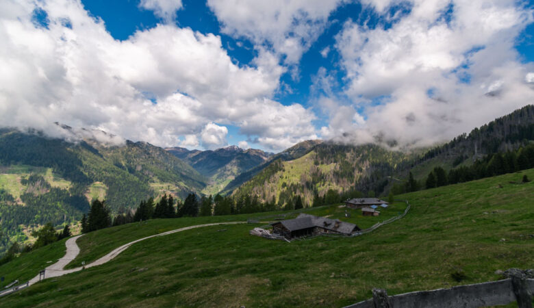 Malga Cere - cosa fare in Valsugana