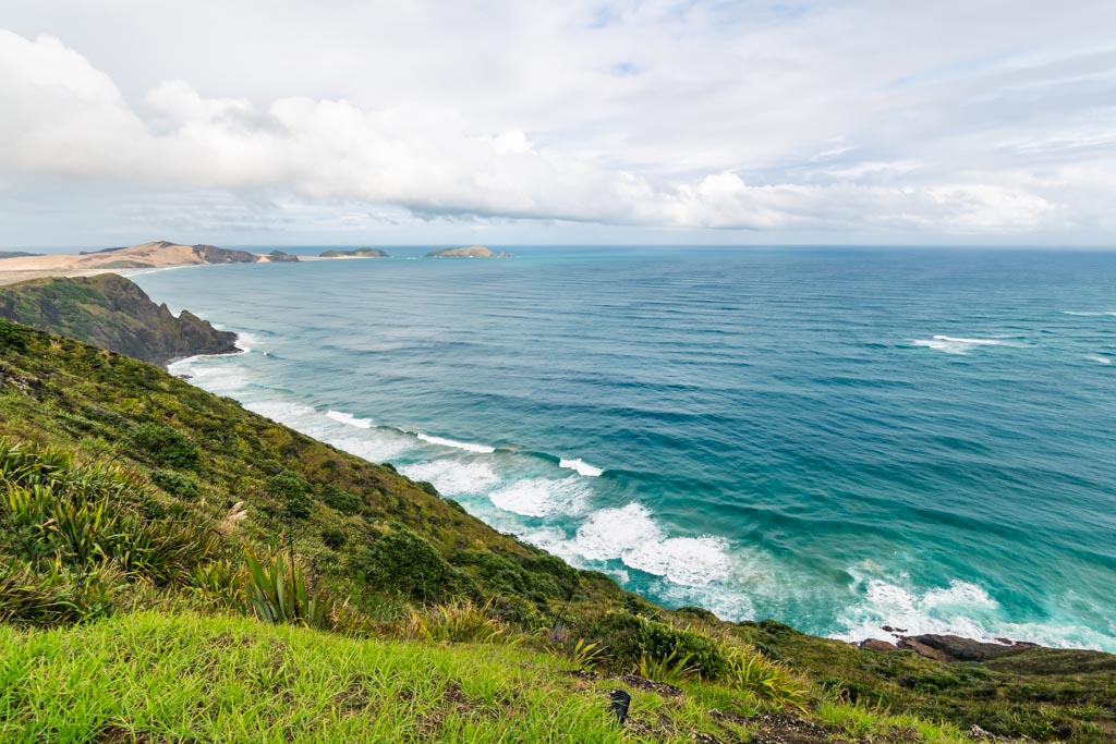 Nuova Zelanda fai da te