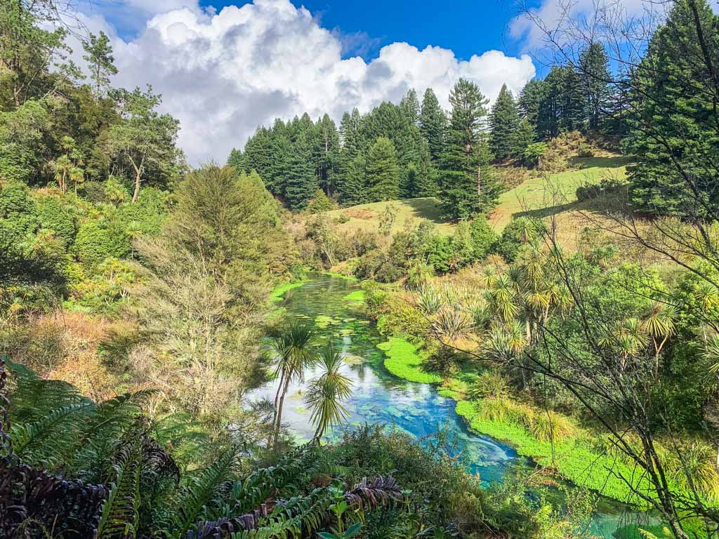 Nuova Zelanda fai da te