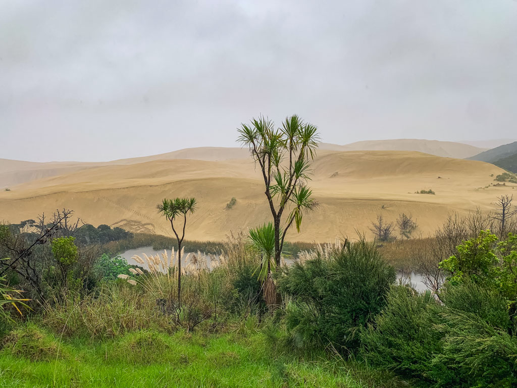 Itinerario Nuova Zelanda