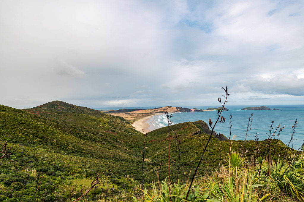 Itinerario Nuova Zelanda