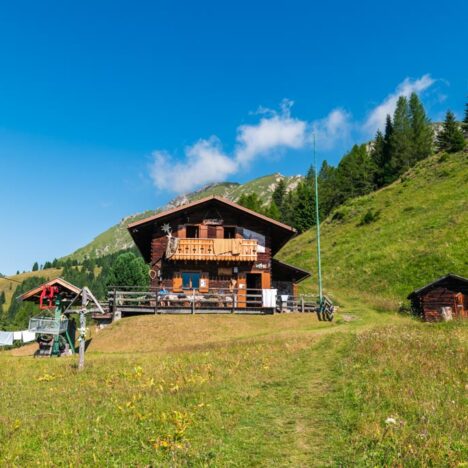 Cosa vedere ad Auckland in 2 giorni: tra skyline, rugby e mare