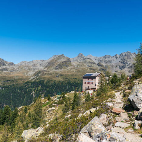 Potato Run: la corsa da Brunico a Campo Tures in Alto Adige