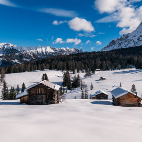 Camperizzare un furgone: la nostra esperienza con Little Beans