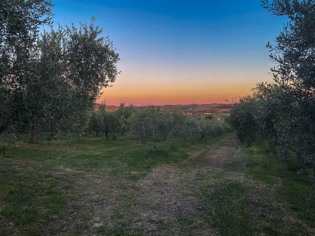 cosa vedere nella Riviera del Conero