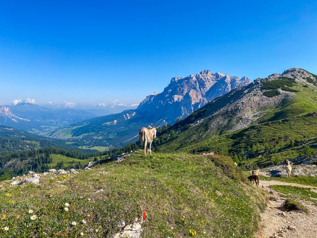 Anello Setsass da Passo Valparola