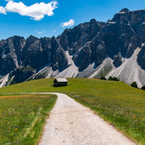 Escursione facile dal Passo delle Erbe a Cima Monte Muro