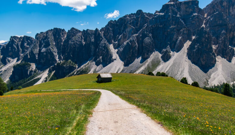 Malga Medalges e Cima Medalges da Longiarù
