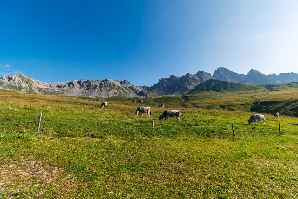 Escursione dal Passo San Pellegrino