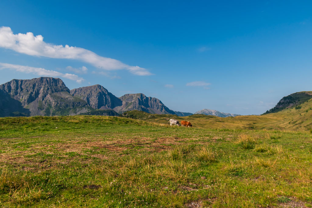 Escursione dal Passo San Pellegrino