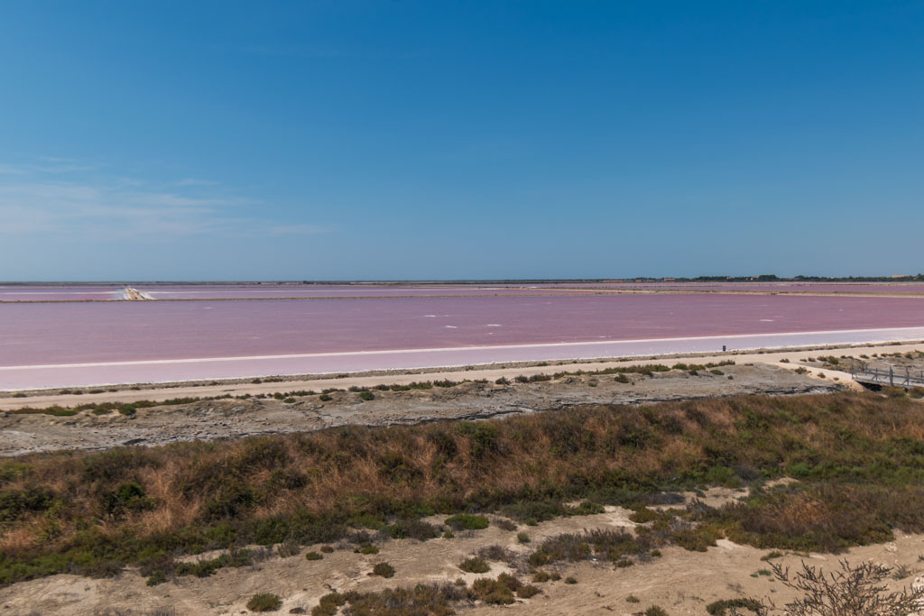 Saline di Camargue