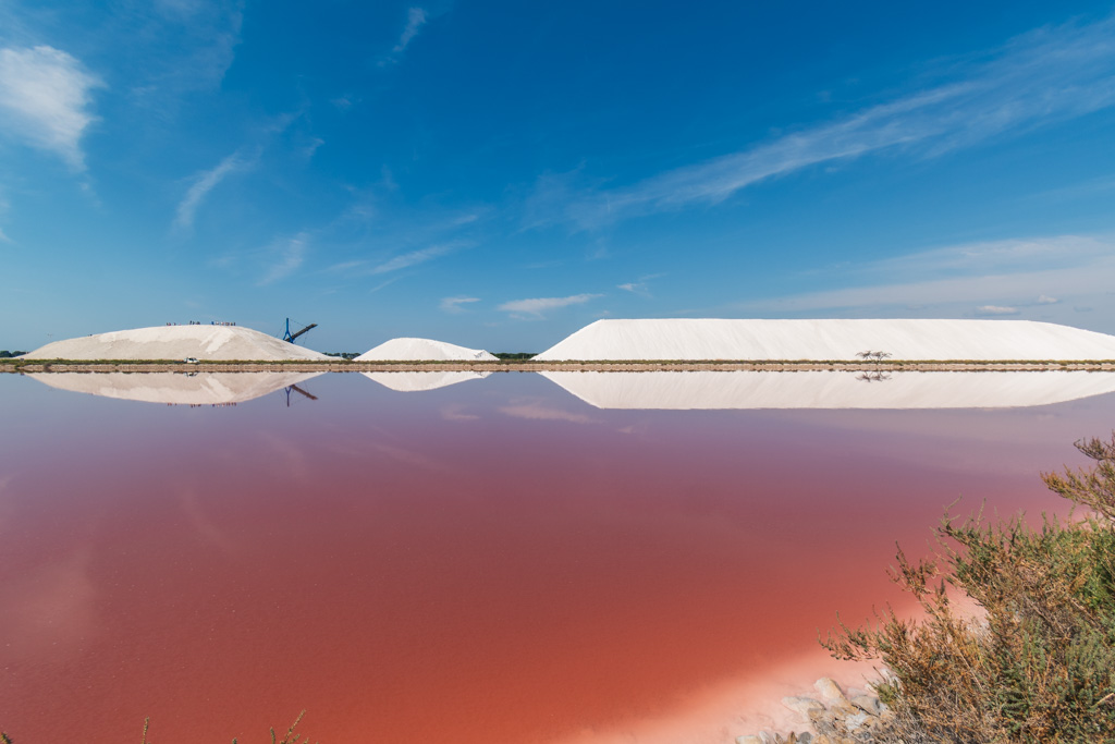 Saline di Camargue