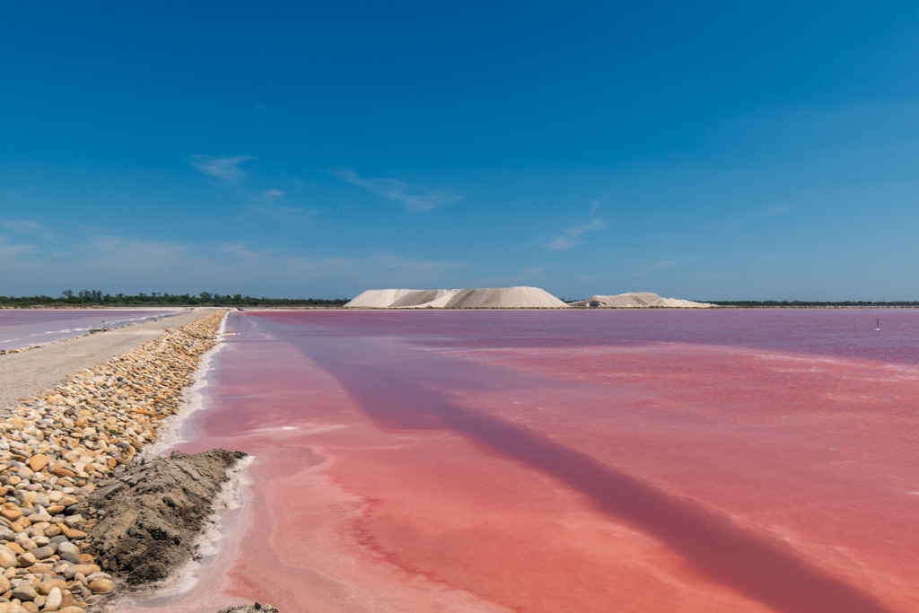 Saline de Camargue