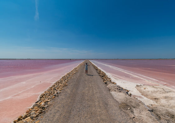 Saline di Camargue-