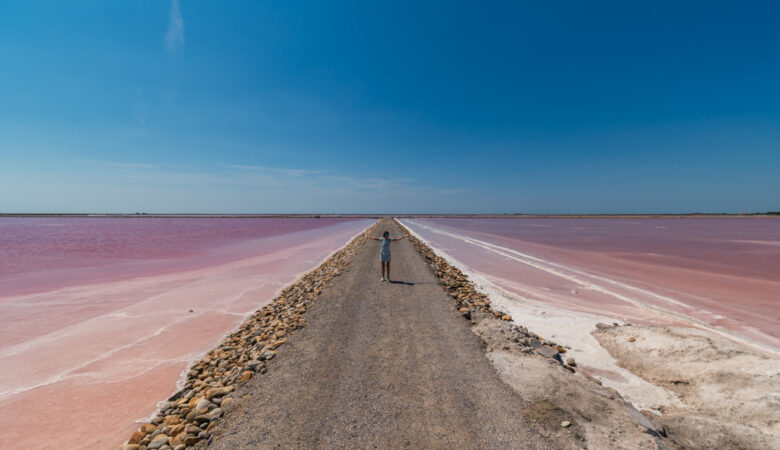 Saline di Camargue-