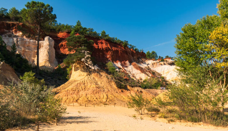 Colorado Provenzale